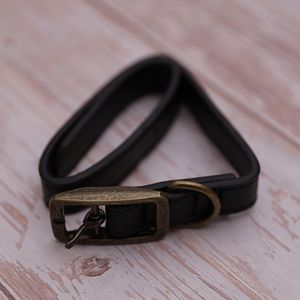Collar para Mascotas Negro - Talla M