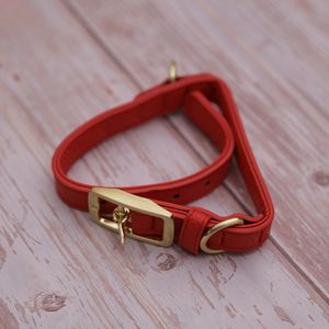 Collar para Mascotas Rojo - Talla M