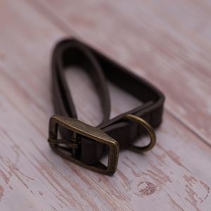 Collar para Mascotas Marrón - Talla L
